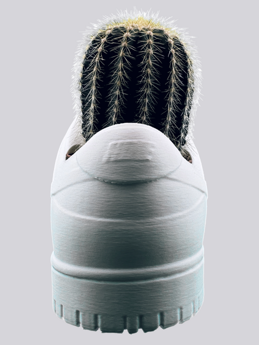 Sneaker Pot - Urban Skate Low "Pure Mat"