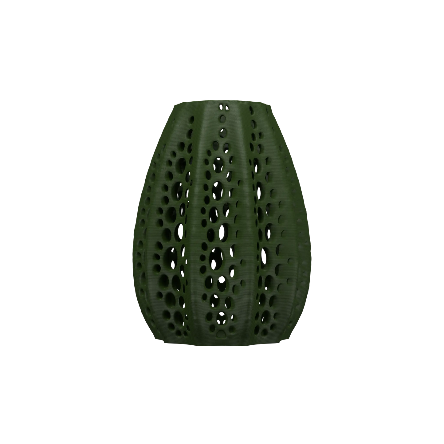 Vaso di fiori secchi di conchiglie