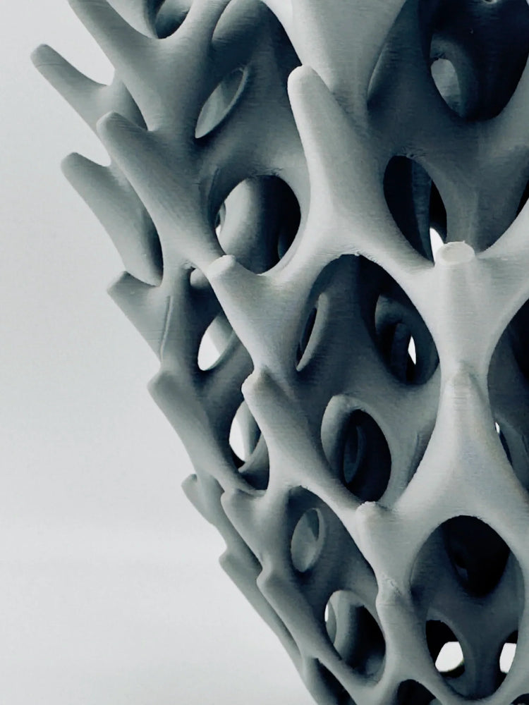 Vases design pour fleurs sèches