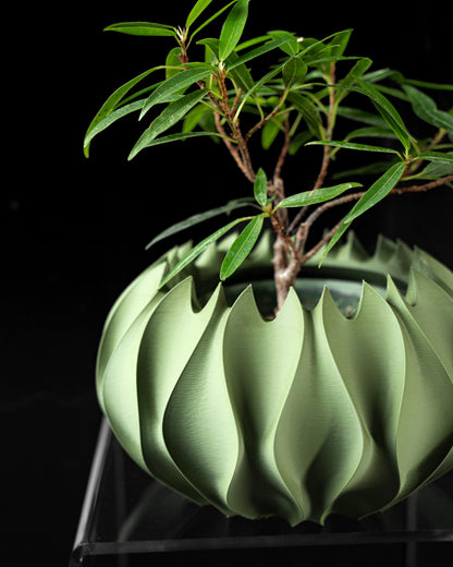 Pot décoratif vert menthe avec surface ondulée en forme de pétales, plante au feuillage fin à l'intérieur, fond noir.