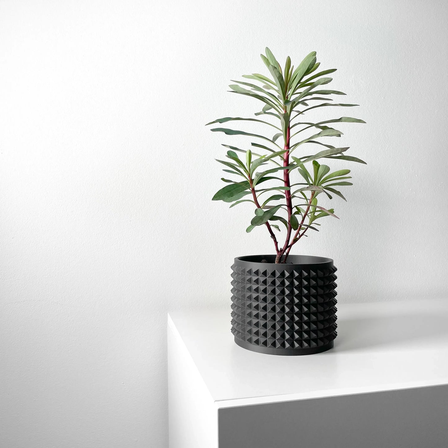 Pot décoratif Anver anthracite en matériau durable avec design contemporain à surface texturée en relief, planté d’une.