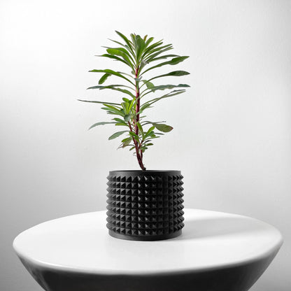 Pot décoratif noir mat avec surface texturée en petits pics réguliers, contenant une plante verte élancée, posé sur une.