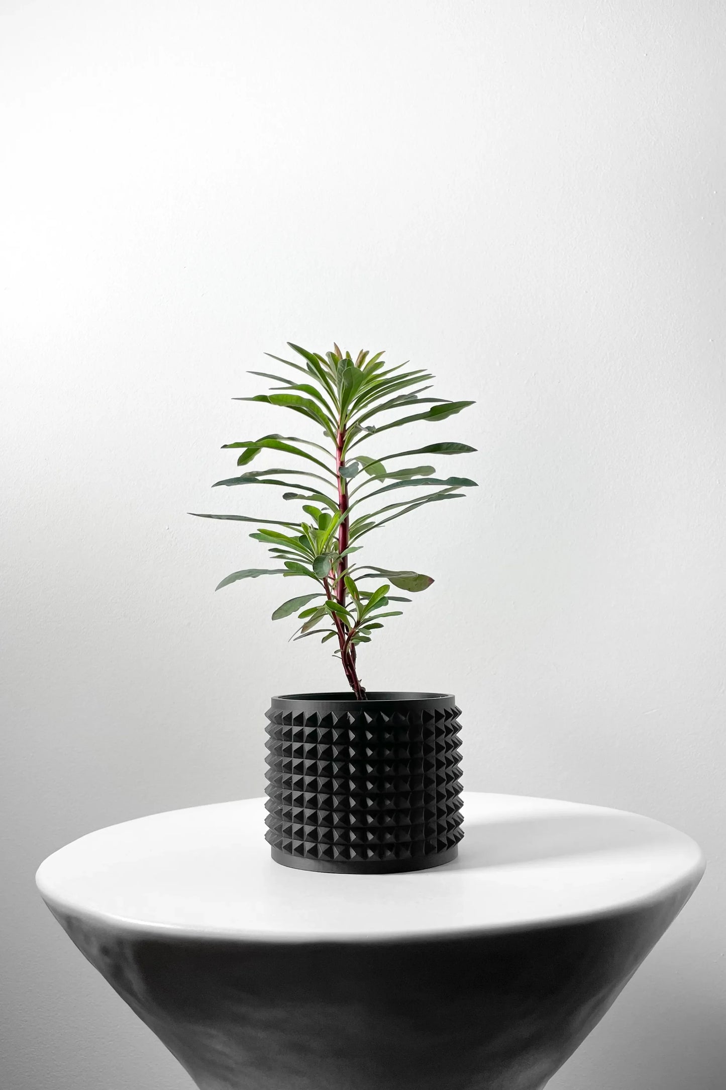 Pot décoratif noir mat avec texture à reliefs carrés, contenant une petite plante verte aux feuilles étroites, posé sur une.