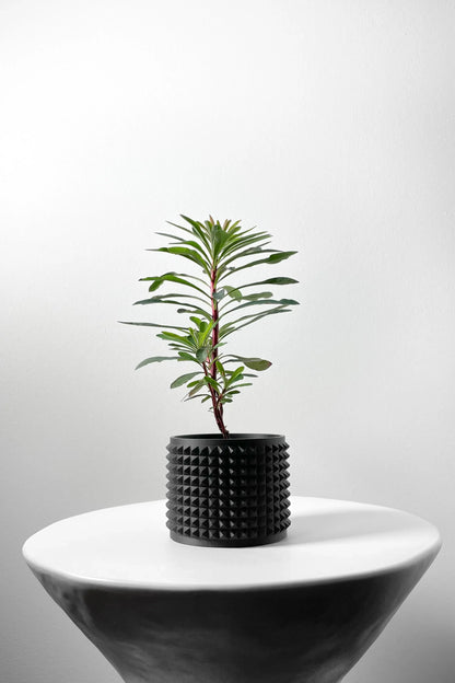 Pot décoratif noir mat avec texture à reliefs carrés, contenant une petite plante verte aux feuilles étroites, posé sur une.