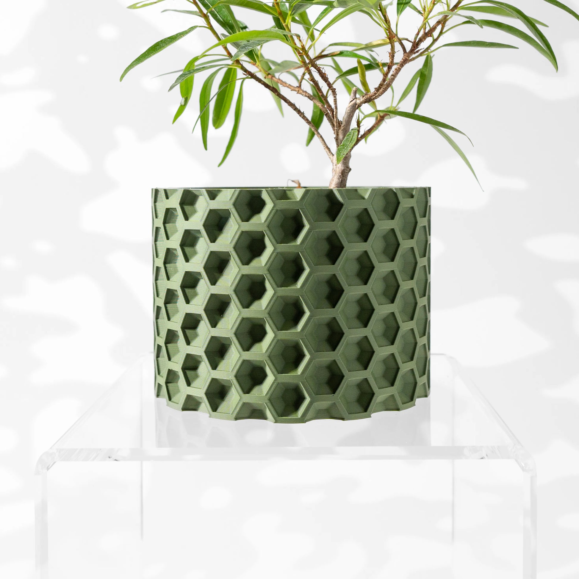 Pot décoratif vert forêt en matériau durable avec design contemporain à motif hexagonal en relief.