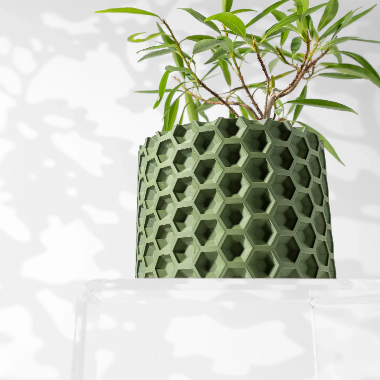 Pot décoratif vert forêt en matériau durable avec design contemporain en relief hexagonal, plante verte à l'intérieur.