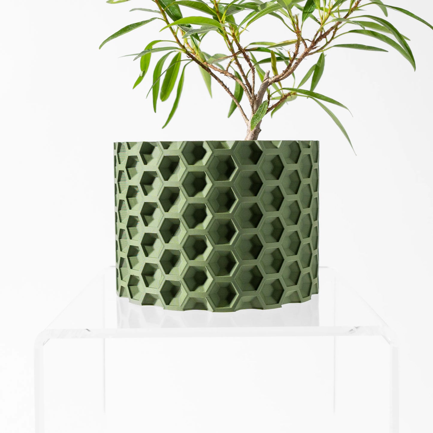 Pot décoratif vert olive à motif alvéolé hexagonal en relief, forme cylindrique, avec plante verte aux feuilles longues et.