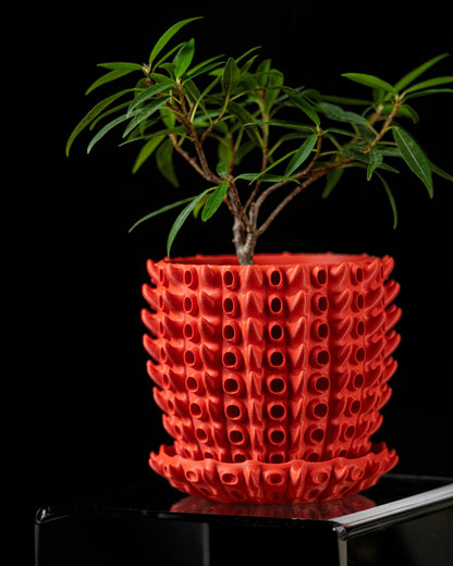 Pot décoratif orange vif à motifs tubulaires en relief, forme cylindrique avec base assortie, plante verte fine dessus.