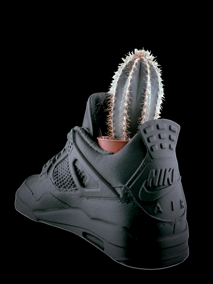 Sneaker Pot AJ4 - Collezione "Pure Mat" - Vaso di design