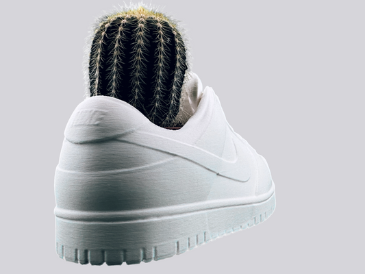 Sneaker Pot - Urban Skate Low "Pure Mat"