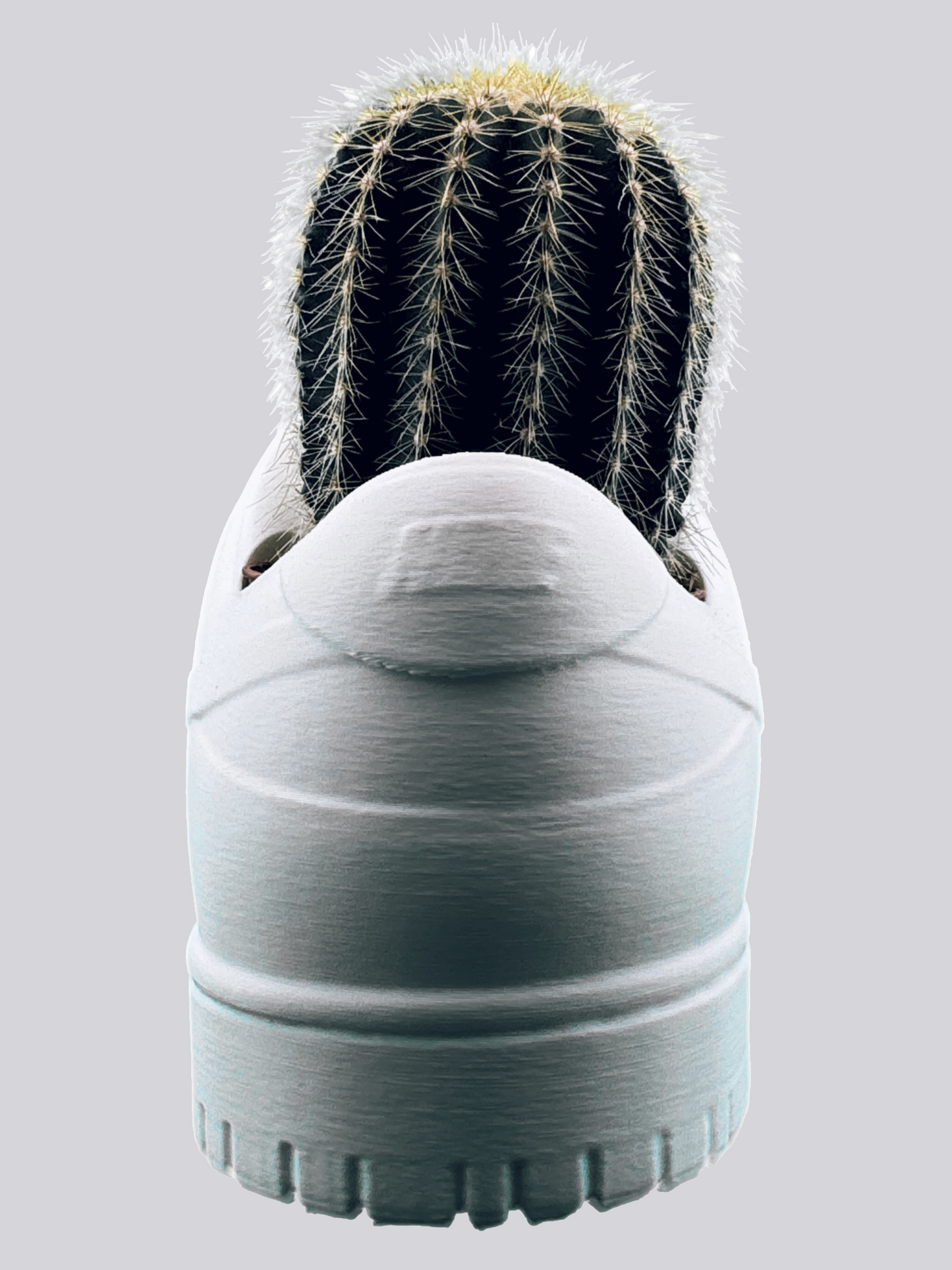 Sneaker Pot - Urban Skate Low "Pure Mat"