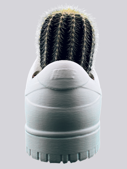 Sneaker Pot - Urban Skate Low "Pure Mat"