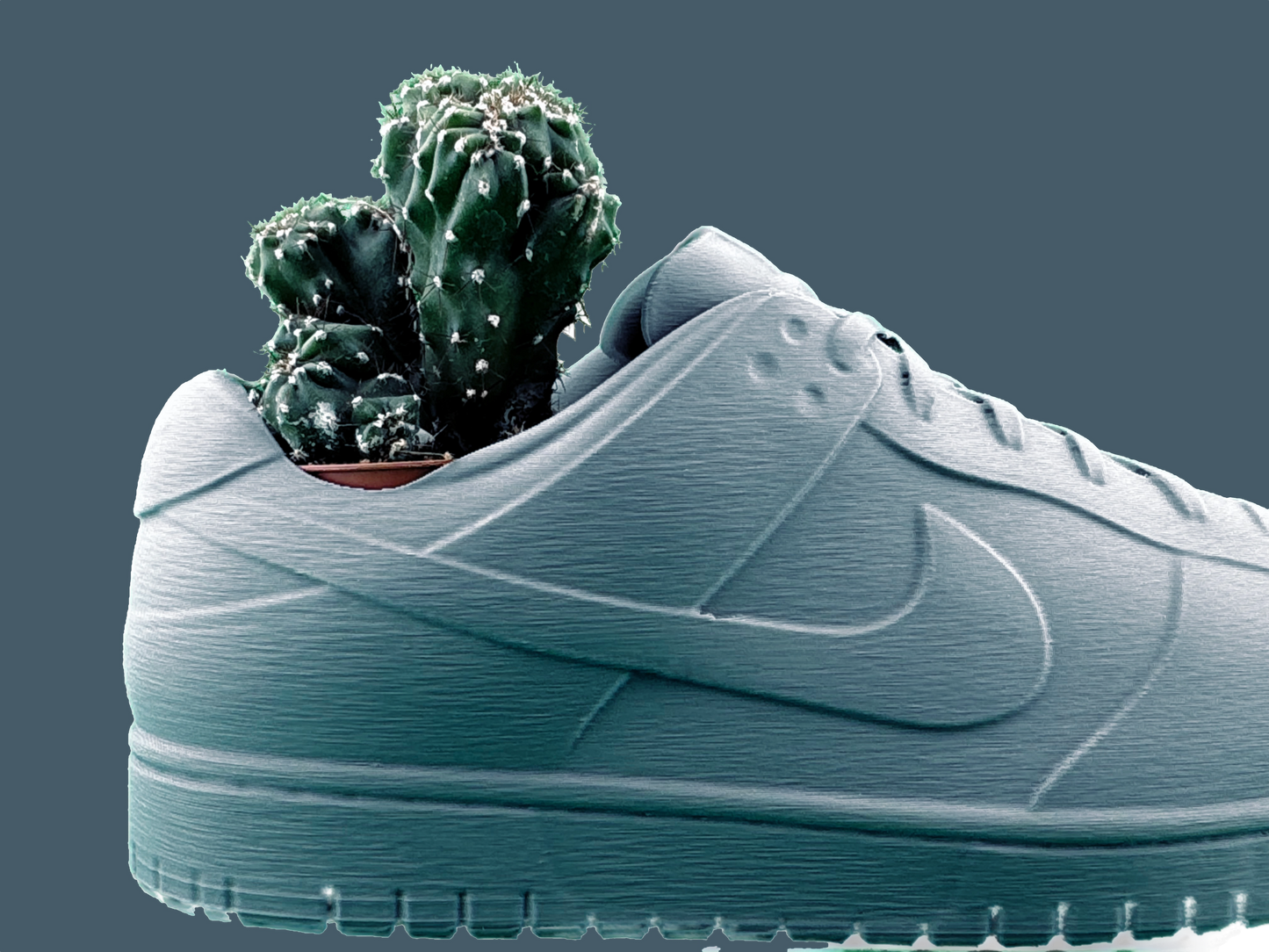 Sneaker Pot - Urban Skate Low "Pure Mat"