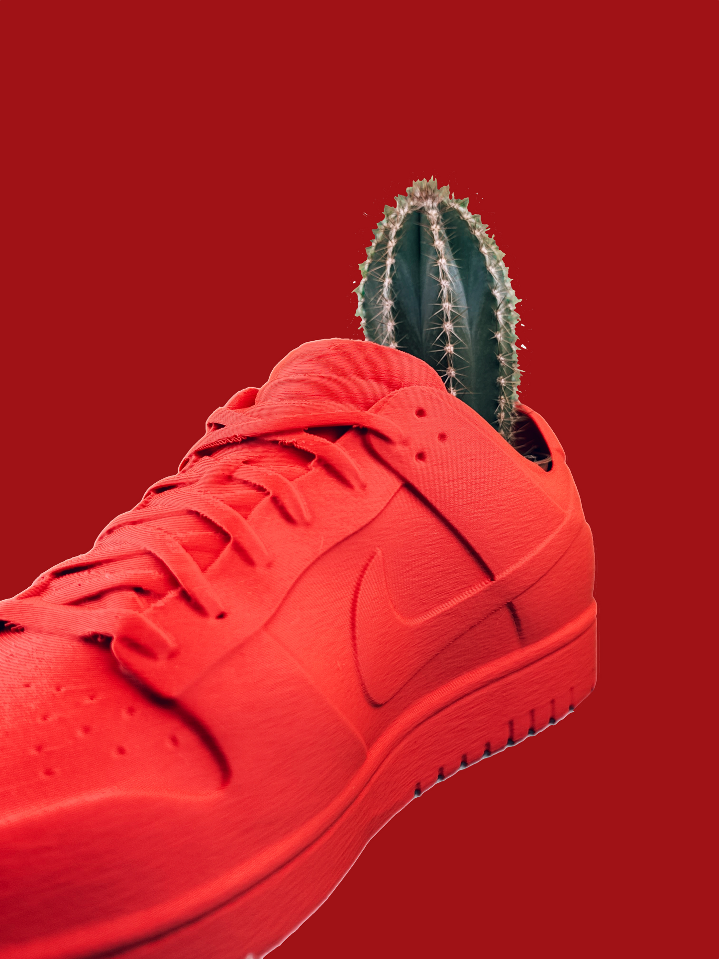 Sneaker Pot - Urban Skate Low "Pure Mat"