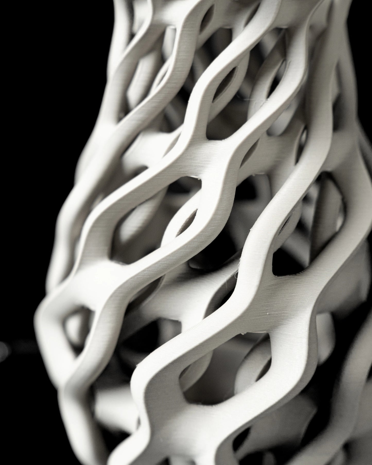 Vase fleurs séchées Chain