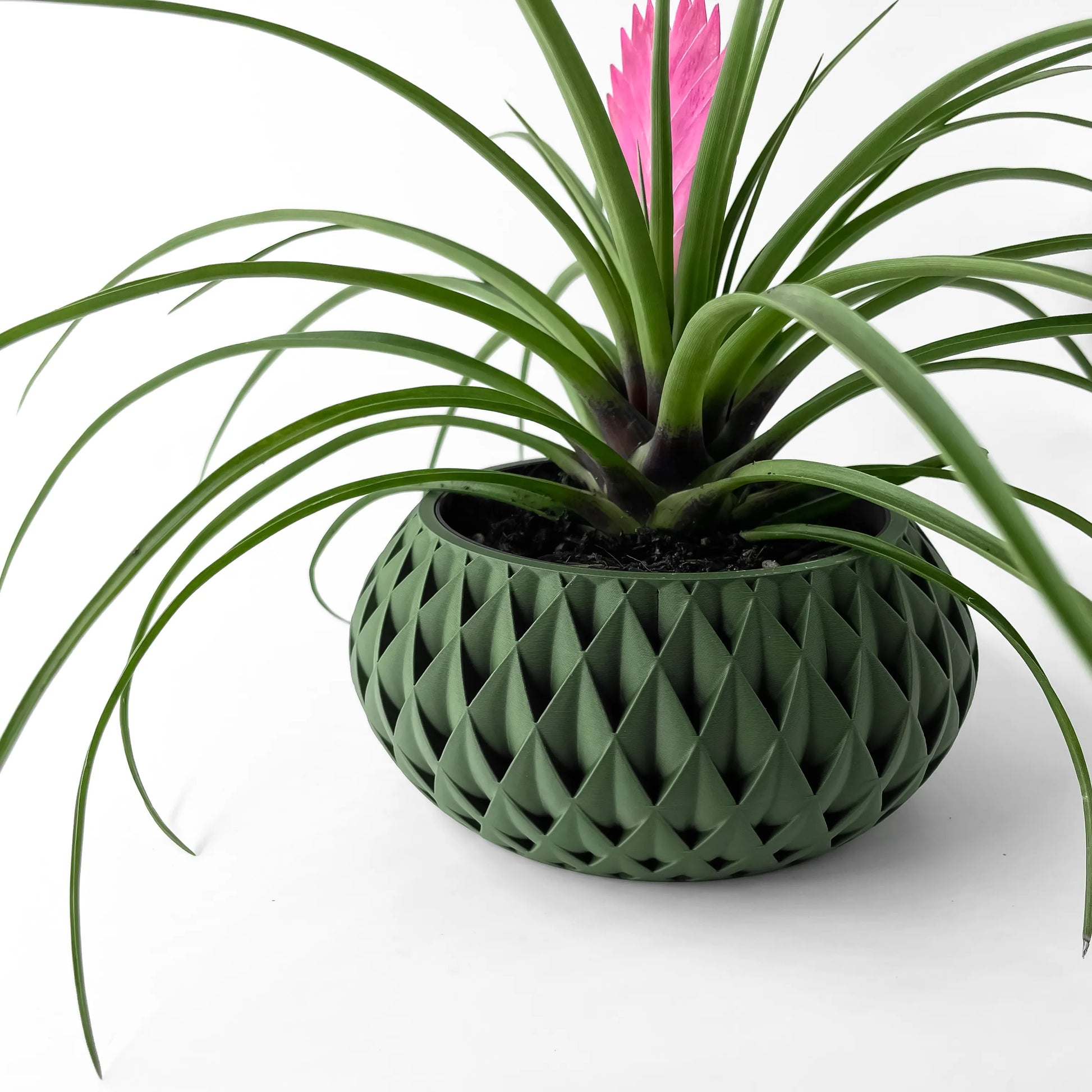 Pot décoratif vert forêt en matériau durable au design contemporain avec motifs géométriques type nid d'abeille, plante.