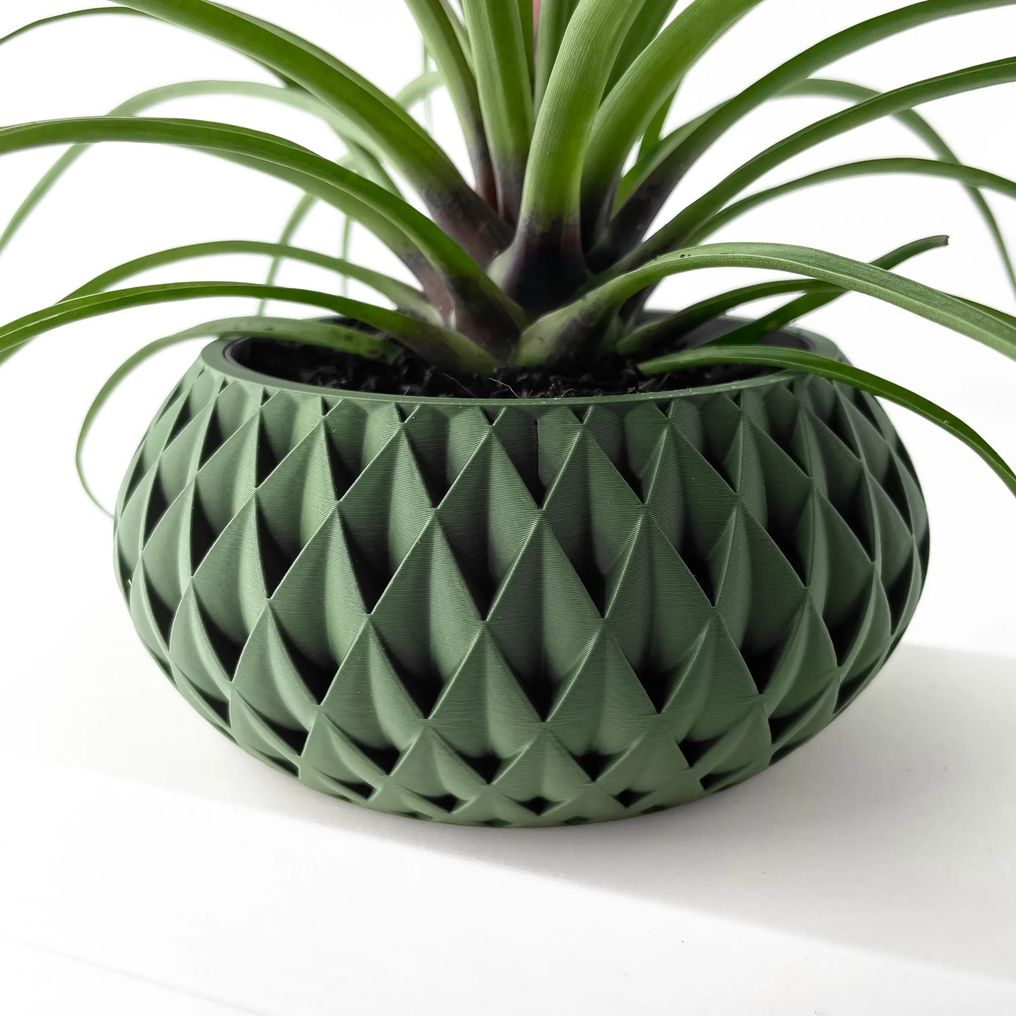 Pot décoratif vert foncé avec motif géométrique en relief, forme ronde et large, accueillant une plante verte aux feuilles.