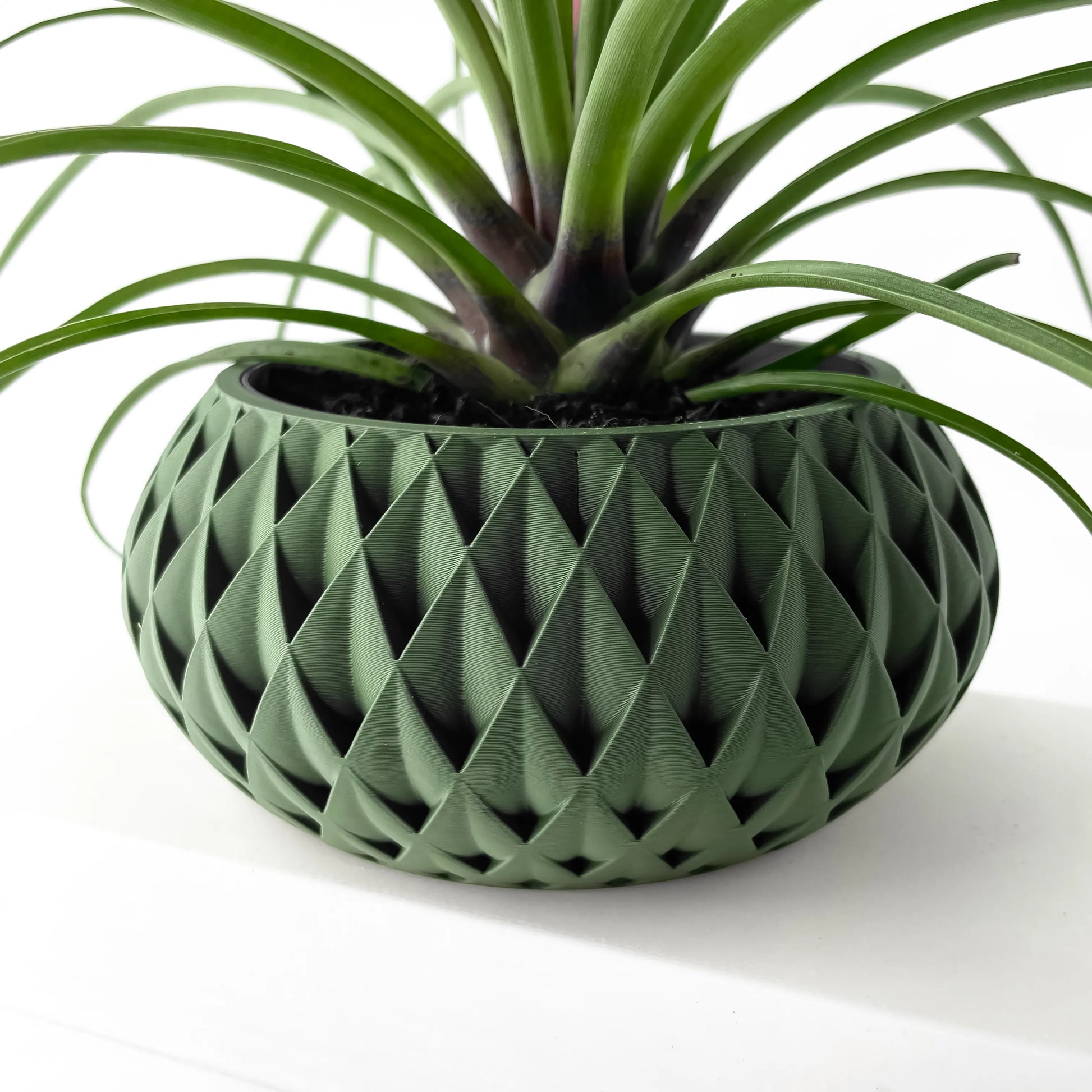 Pot décoratif vert foncé avec motif géométrique en relief, forme ronde et large, accueillant une plante verte aux feuilles.