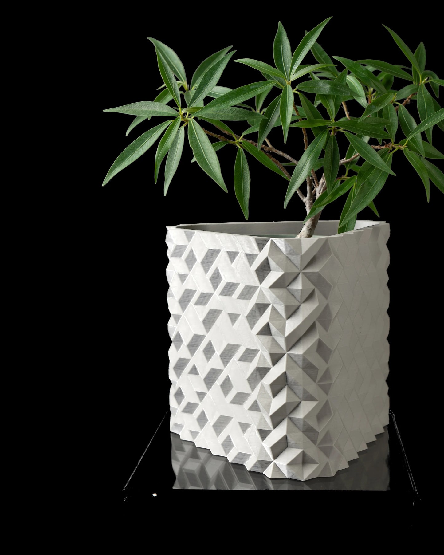 Pot décoratif blanc avec design géométrique en relief, surface durable, style contemporain, plante verte.