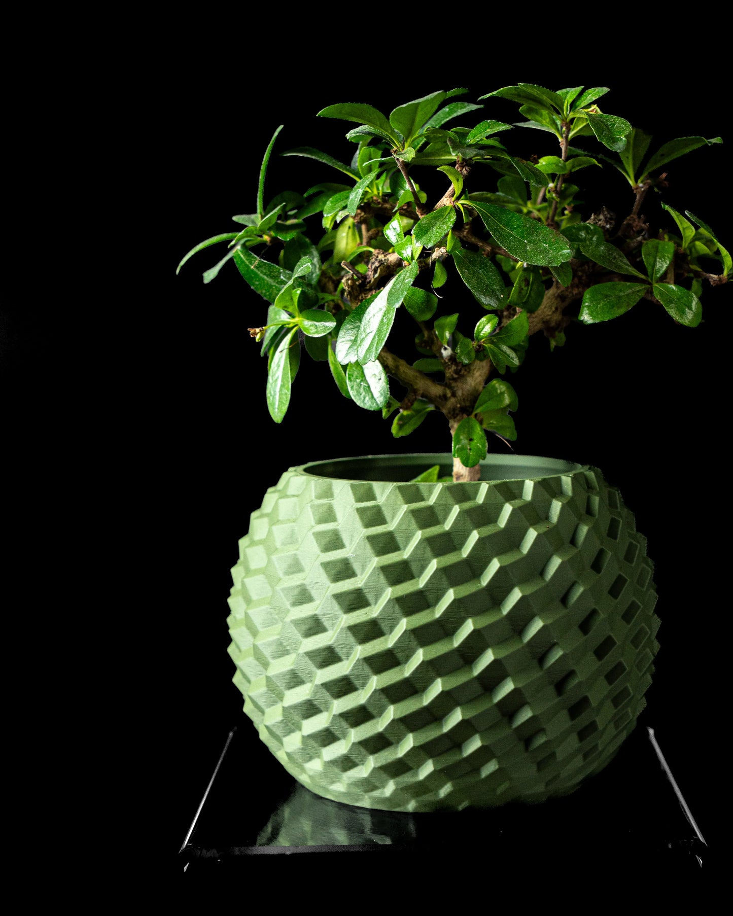 Pot vert menthe moderne à surface texturée en motifs géométriques en relief, forme ronde et bombée, avec une plante verte.