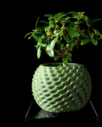 Pot vert menthe moderne à surface texturée en motifs géométriques en relief, forme ronde et bombée, avec une plante verte.