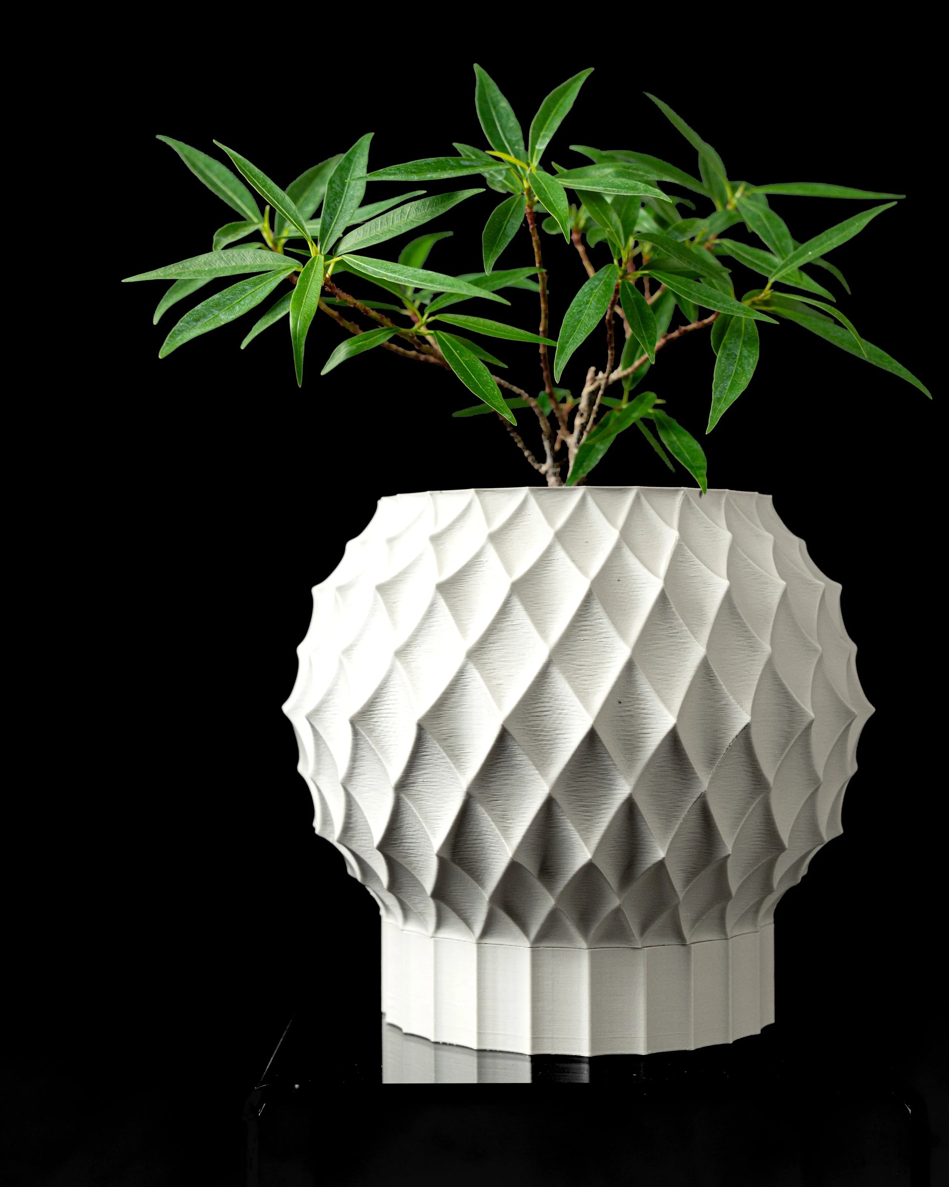 Pot décoratif blanc en polypropylène au design géométrique en relief, forme arrondie et base cylindrique, plante verte à.