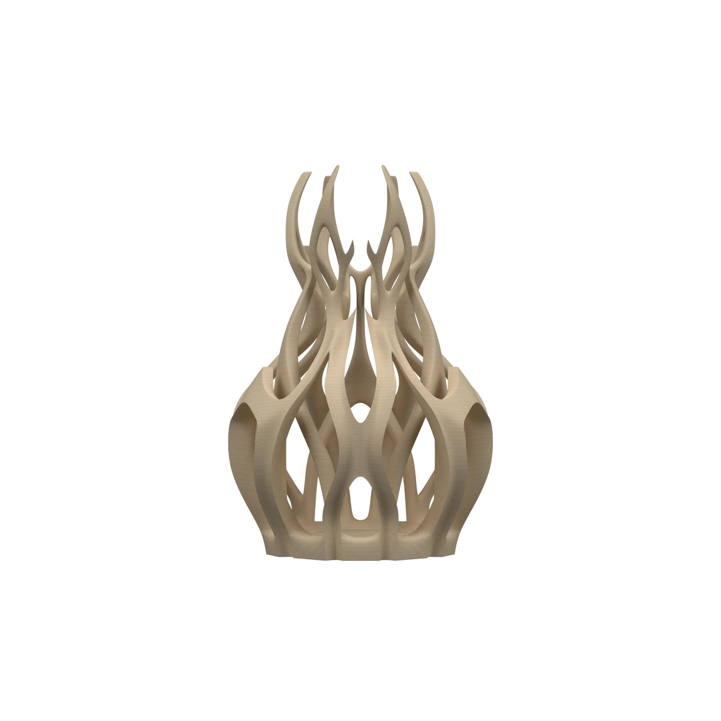 Vase Fleurs Séchées Drag