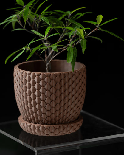 Pot décoratif marron en matériau texturé imitant des écailles de dragon, forme cylindrique avec soucoupe assortie, plante.