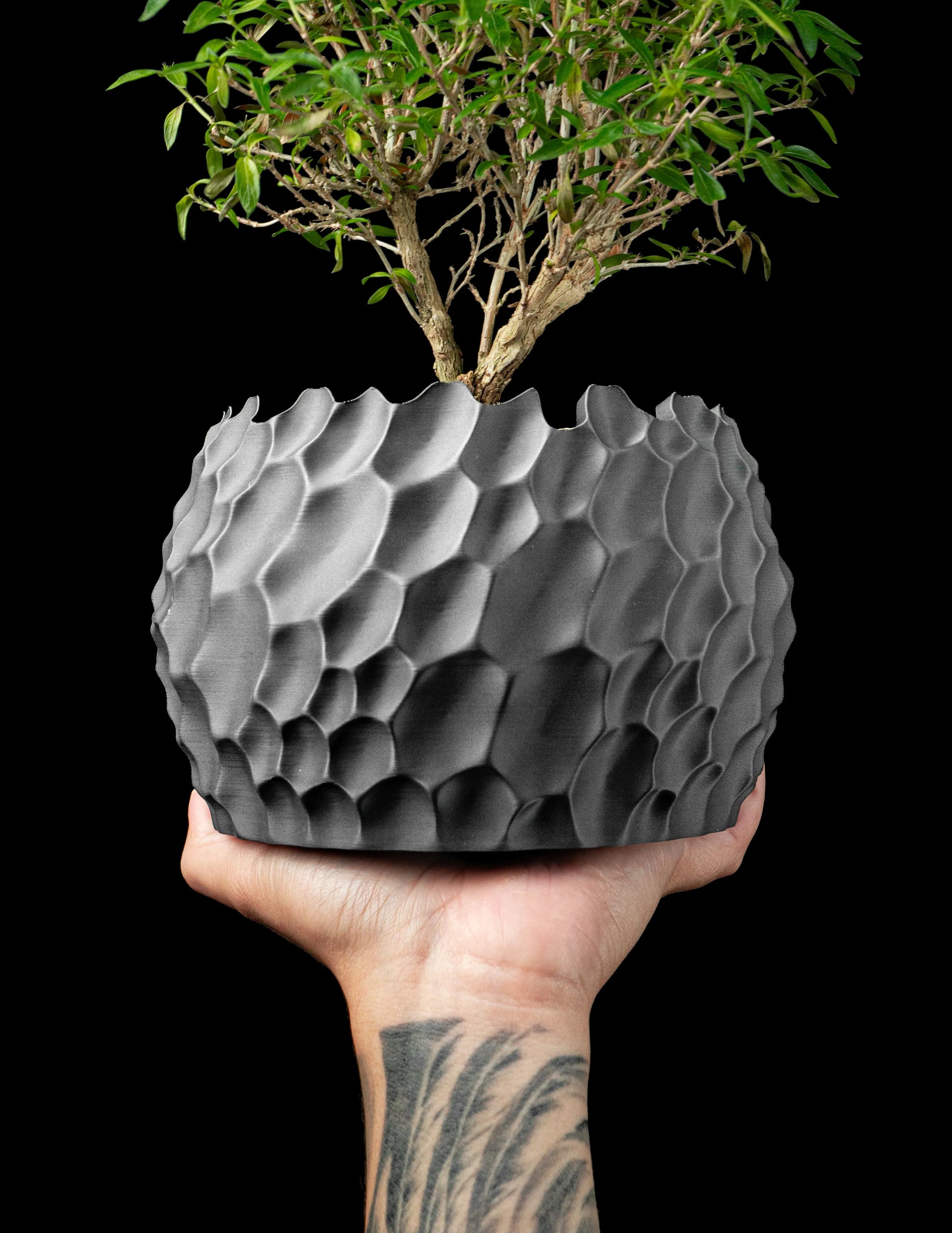 Pot décoratif durable anthracite avec texture sculptée en relief, design contemporain, tient une plante verte, fond noir.