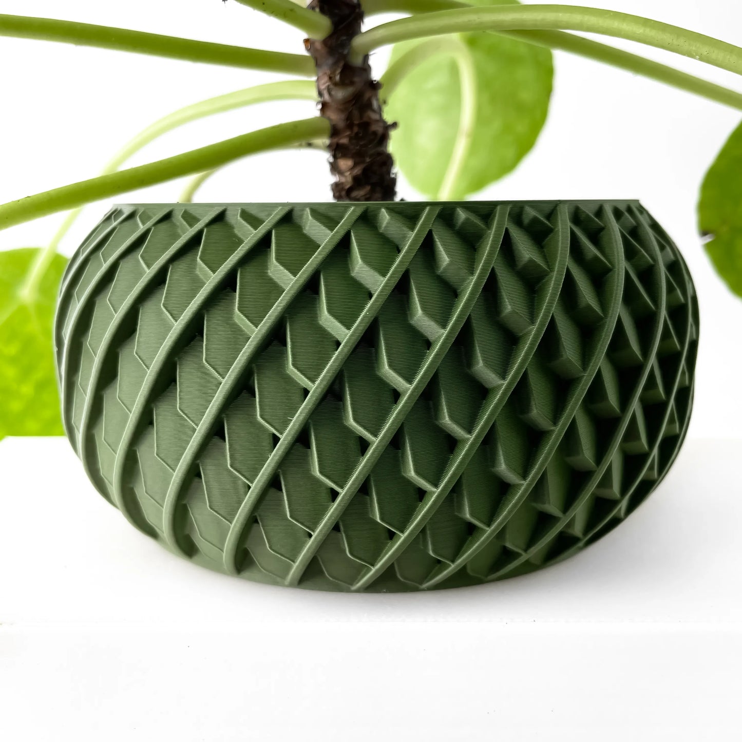 Pot décoratif vert foncé au design moderne en relief géométrique, forme ronde et ample, avec plante verte.