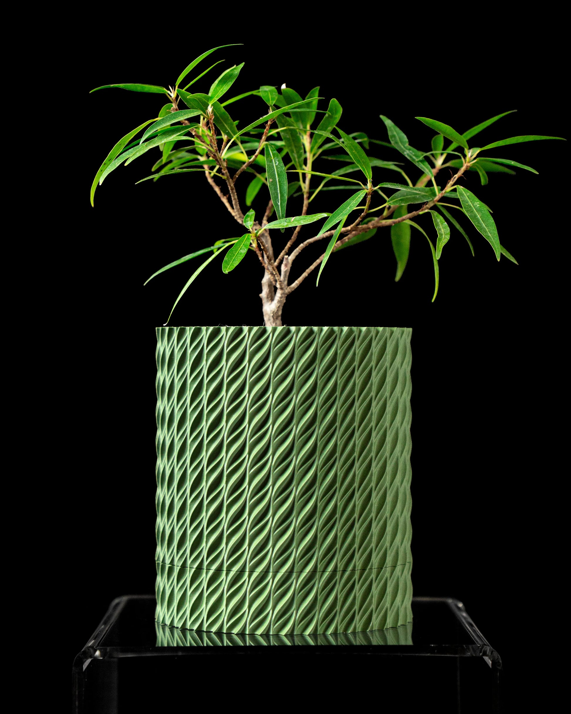 Pot décoratif Flow vert forêt à design contemporain, texture tressée, matériau durable, surface mate.