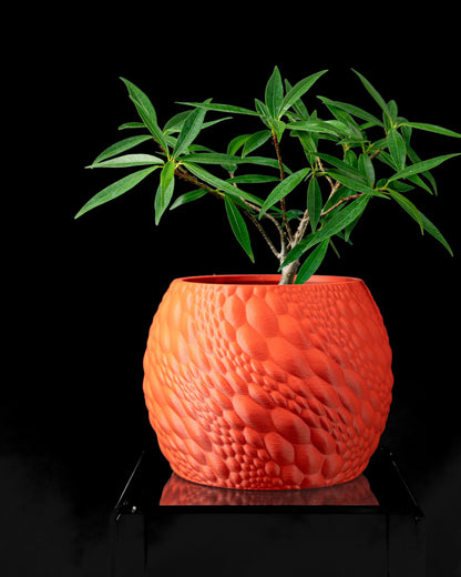 Pot décoratif orange vif avec surface texturée en motifs de bulles, plante verte aux feuilles étroites.