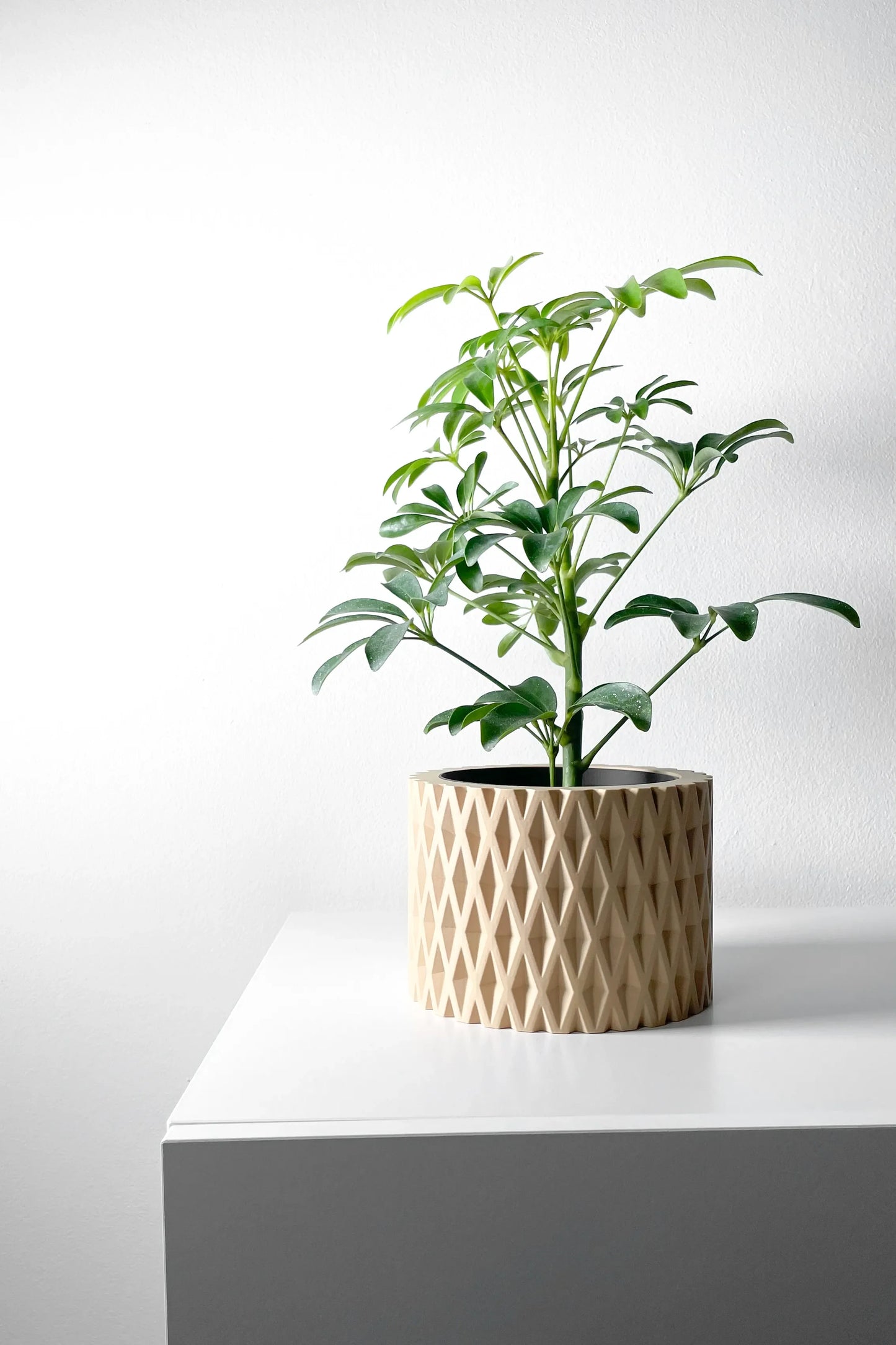Pot décoratif beige en matériaux modernes avec motif géométrique en relief, plante verte aux feuilles allongées placé dessus