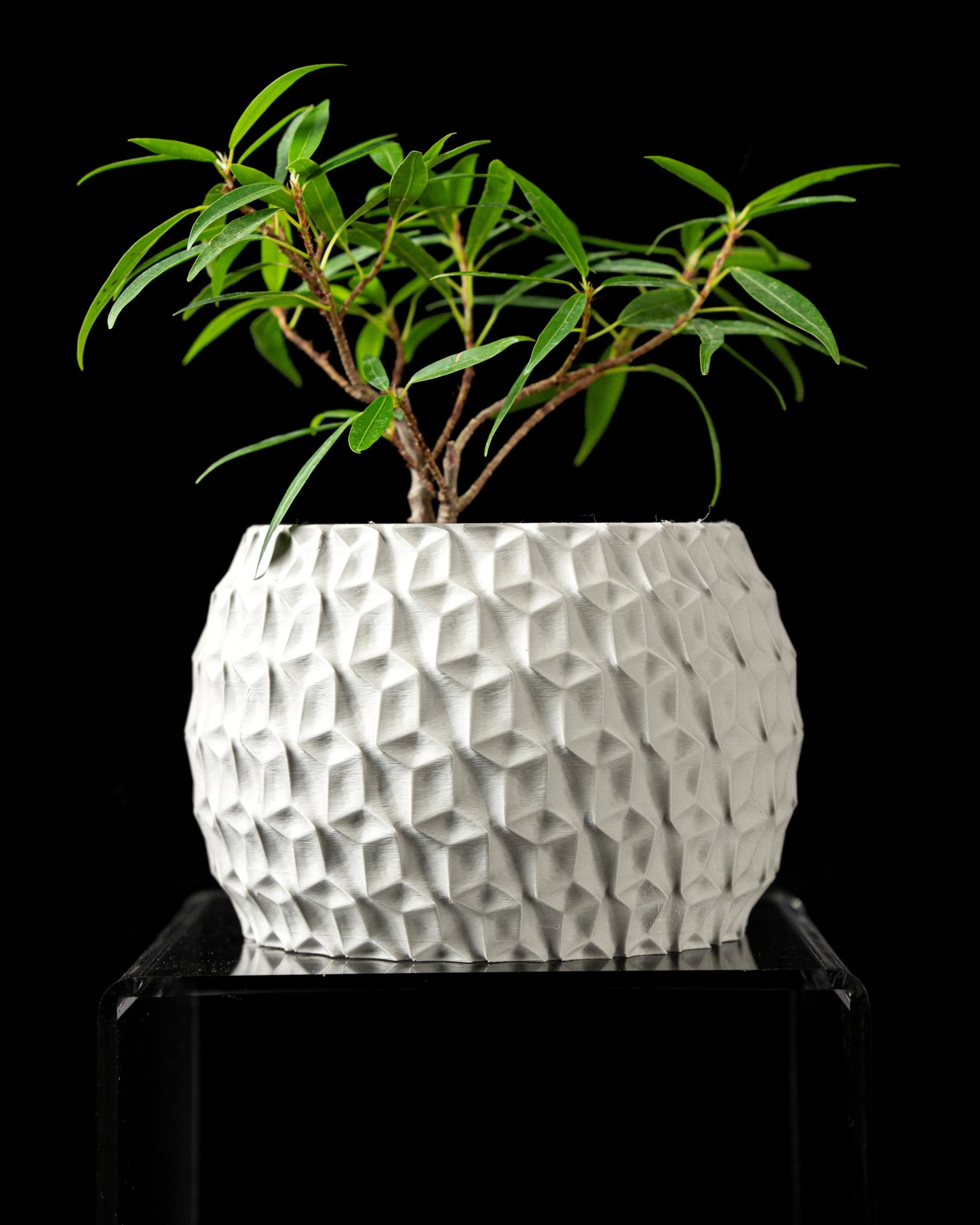 Pot décoratif blanc à motifs hexagonaux en relief, forme cylindrique large avec plante verte aux feuilles longues et fines.