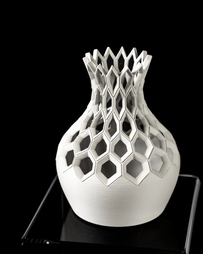 Vase Fleurs Séchées Hexa