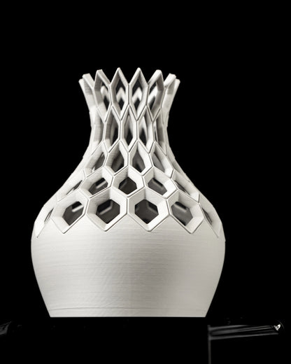 Vase Fleurs Séchées Hexa