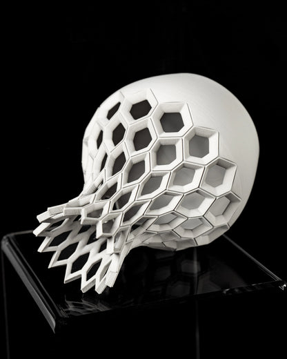 Vase Fleurs Séchées Hexa