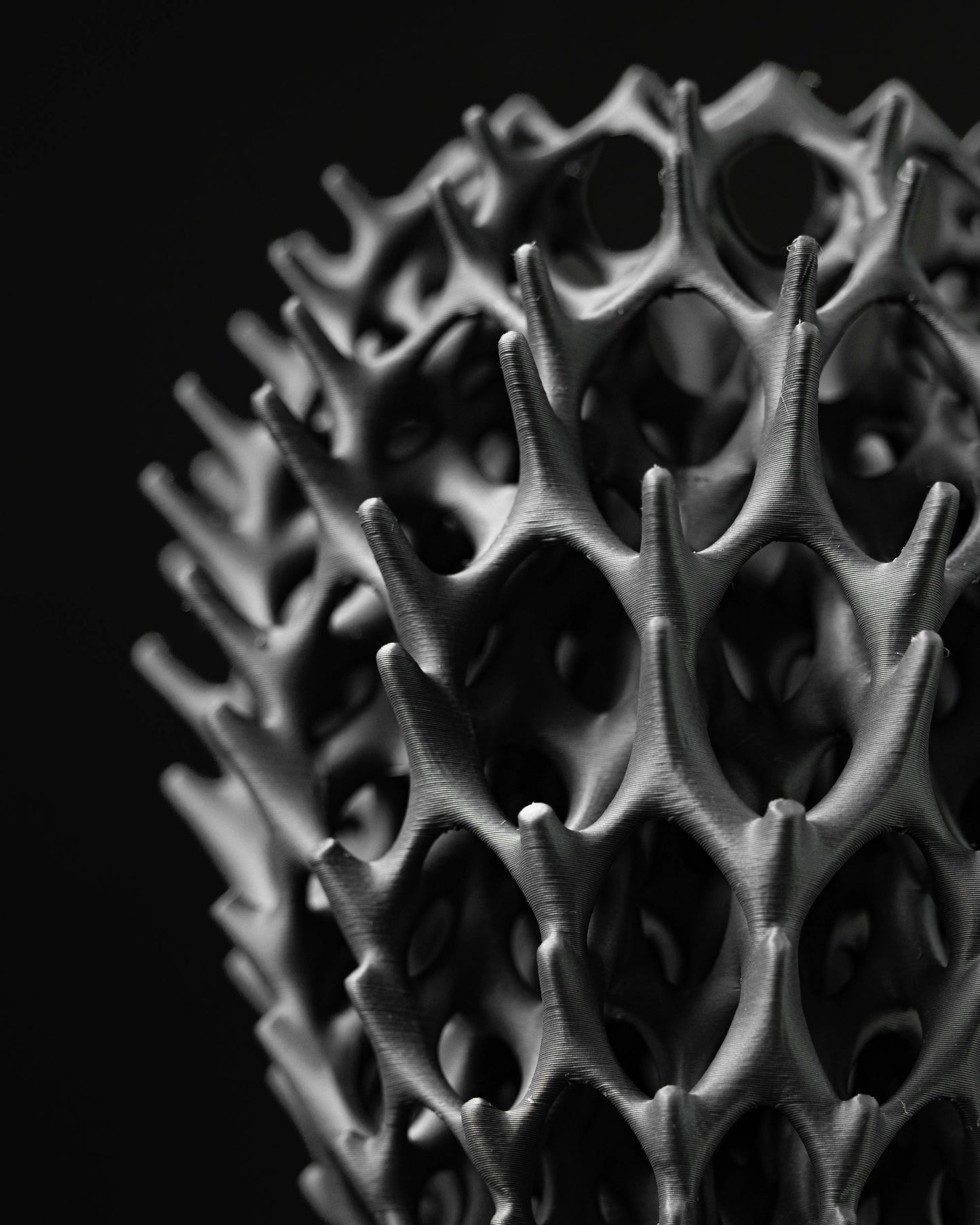 Vase moderne noir mat en forme d’armature alvéolaire complexe avec motifs organiques évoquant des branches entrelacées.