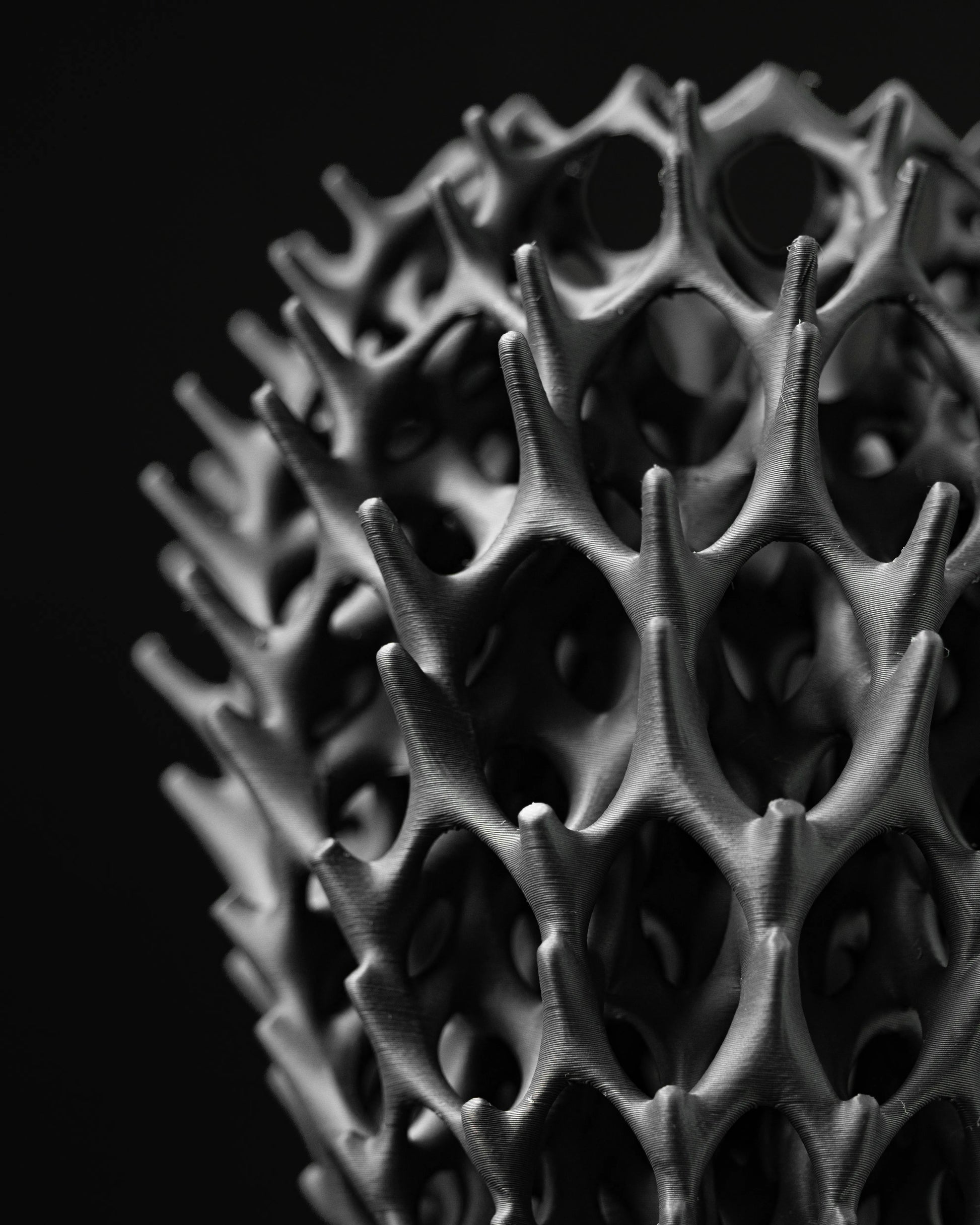 Vase moderne noir mat en forme d’armature alvéolaire complexe avec motifs organiques évoquant des branches entrelacées.