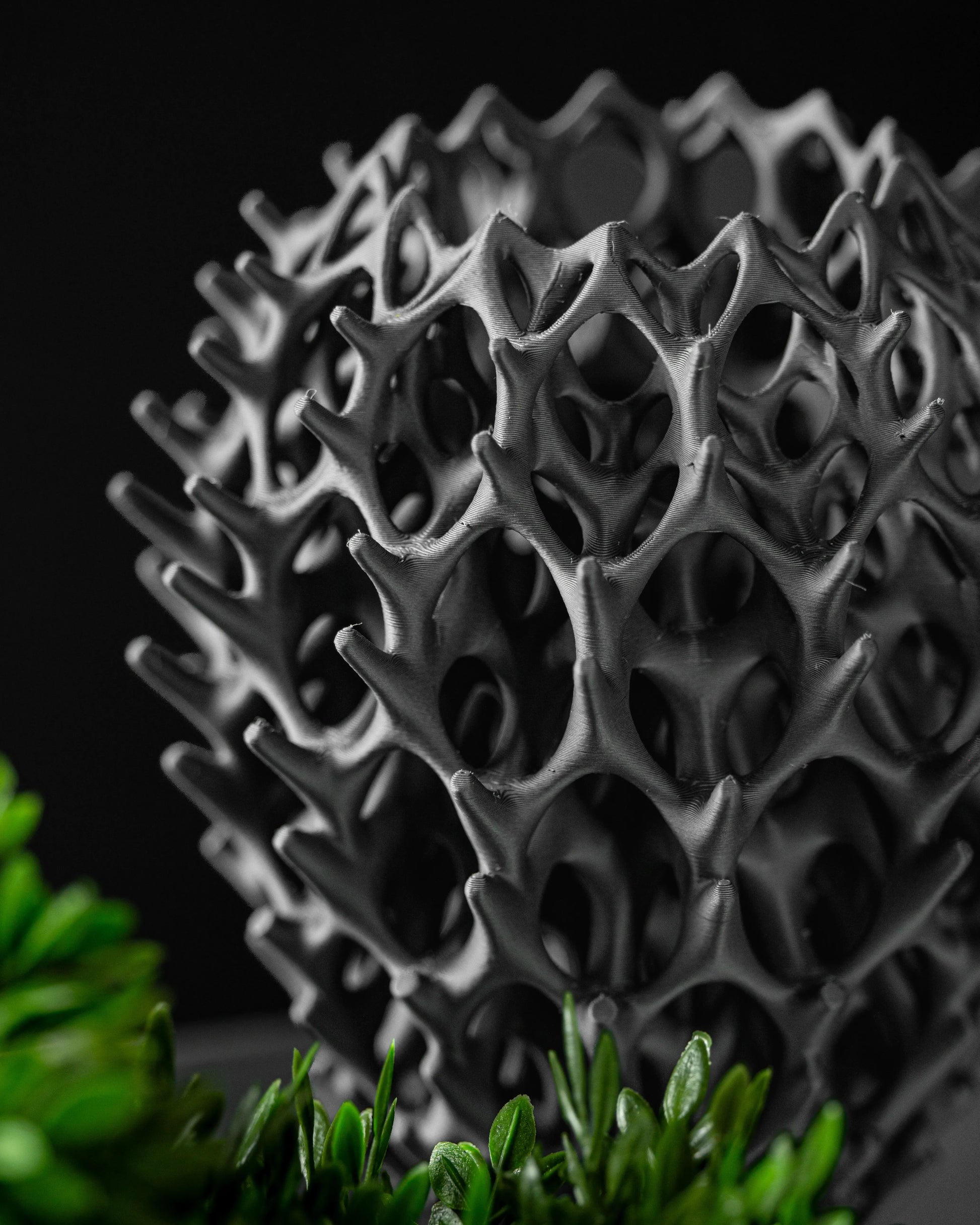 Vase noir mat avec structure ajourée en motif géométrique organique, idéal pour fleurs séchées, ambiance moderne et.