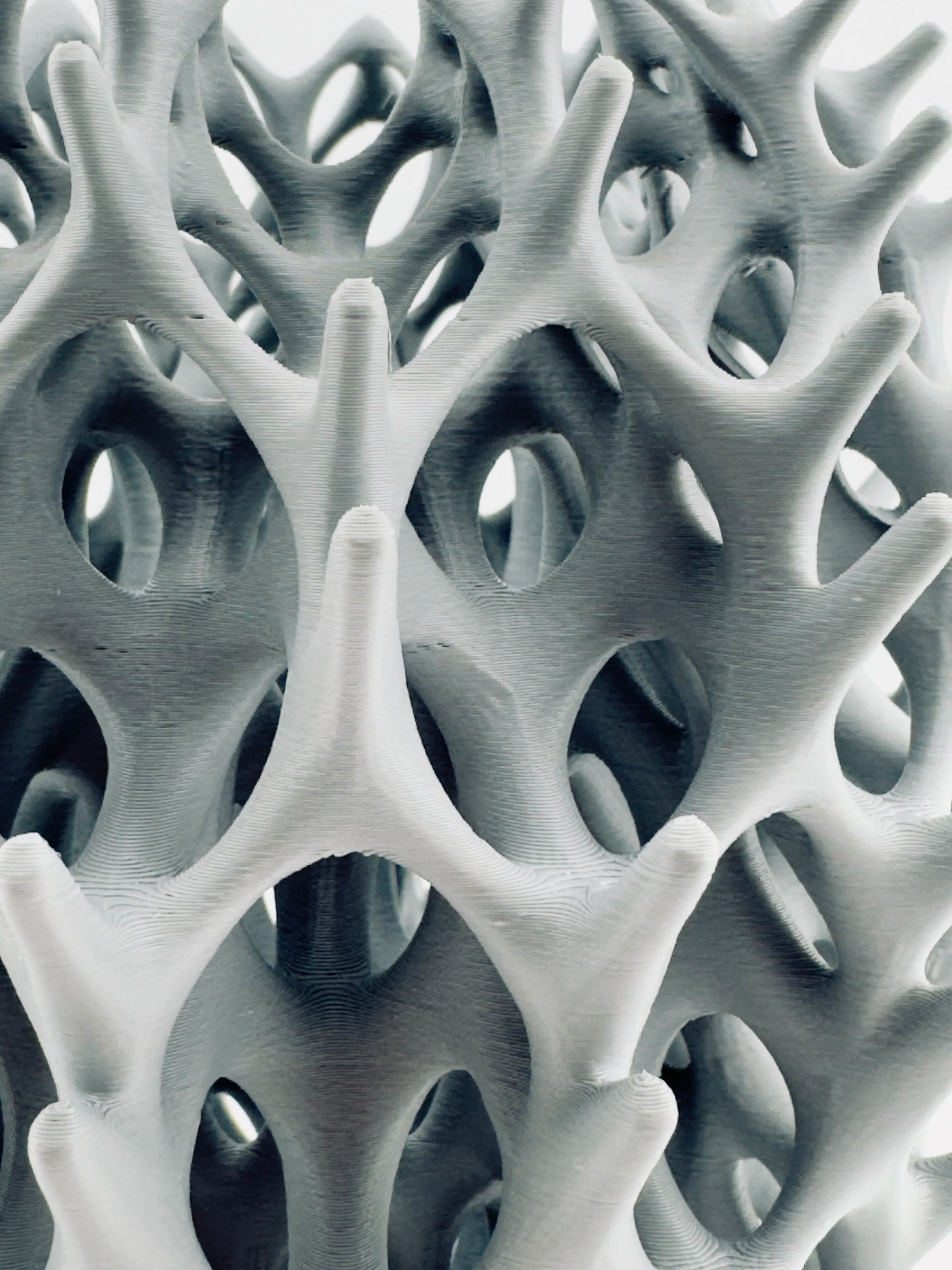 Vase Invader ajouré – sculpture design pour fleurs séchées - Vase gris clair en impression 3D avec structure ajourée organique et forme géométrique sculpturale, design contemporain. - Noir