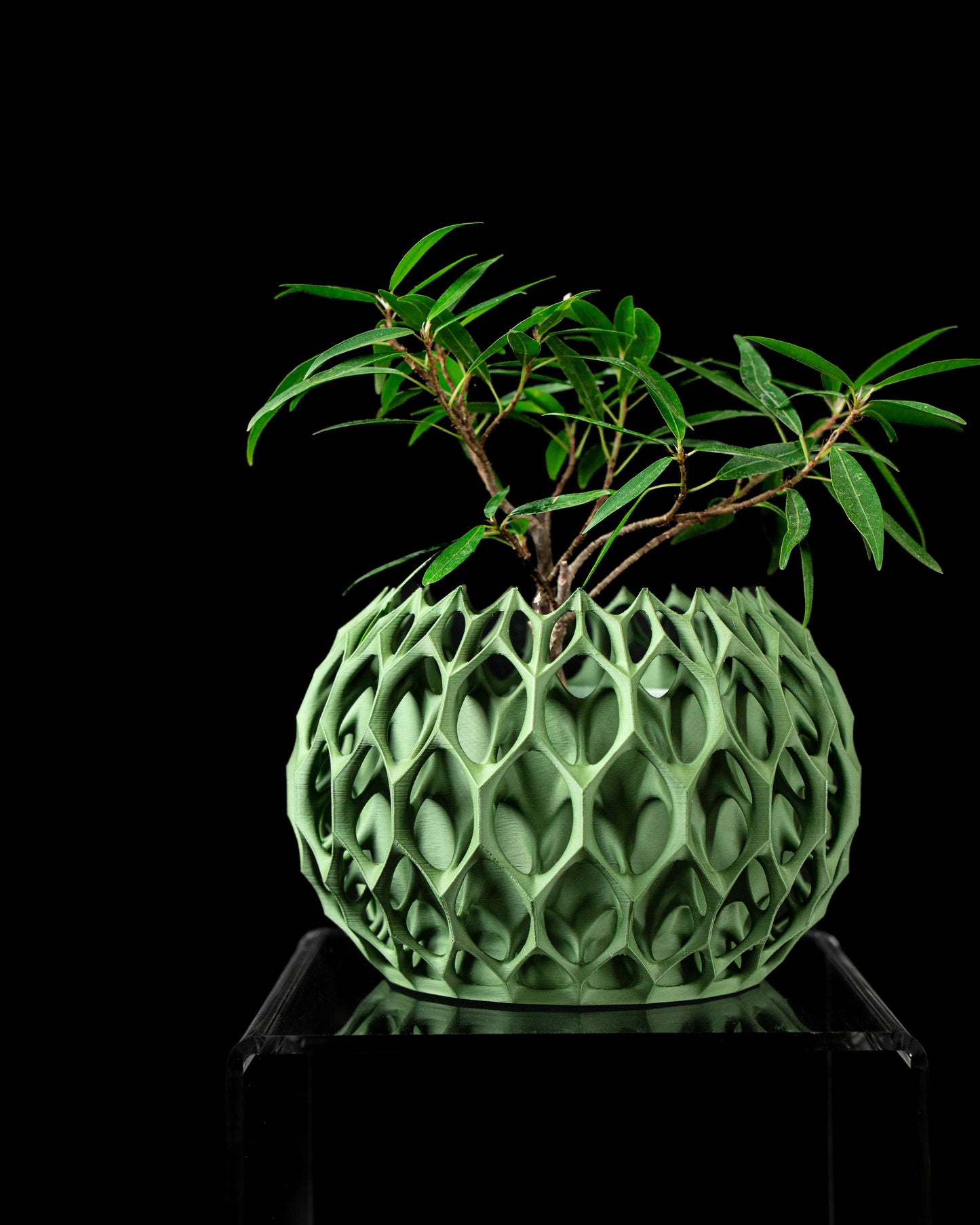 Pot décoratif vert durable au design contemporain avec surface texturée en relief hexagonal et plante verte émergeant du.