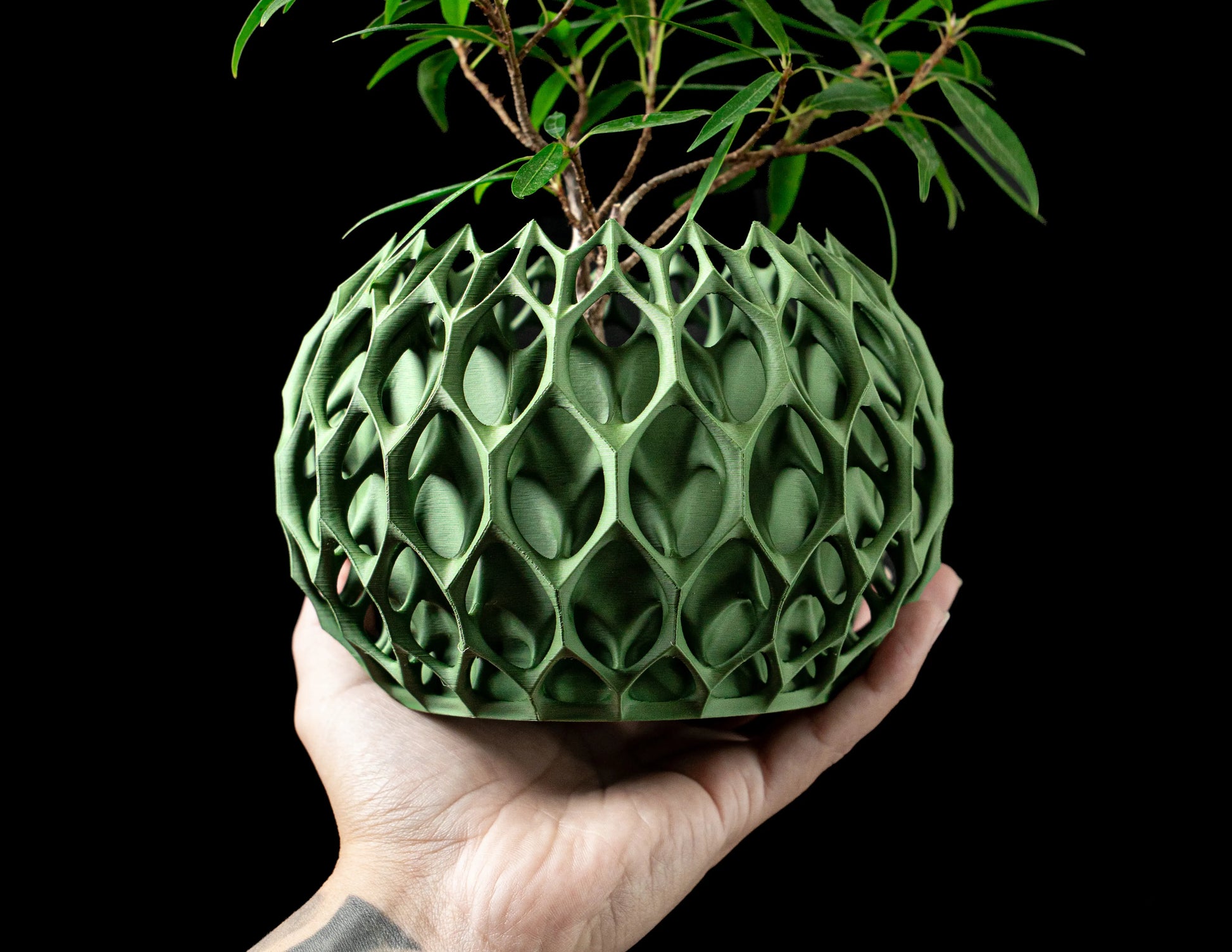 Pot décoratif vert foncé avec surface en relief organique, forme ronde aplatie, tenant une plante verte.