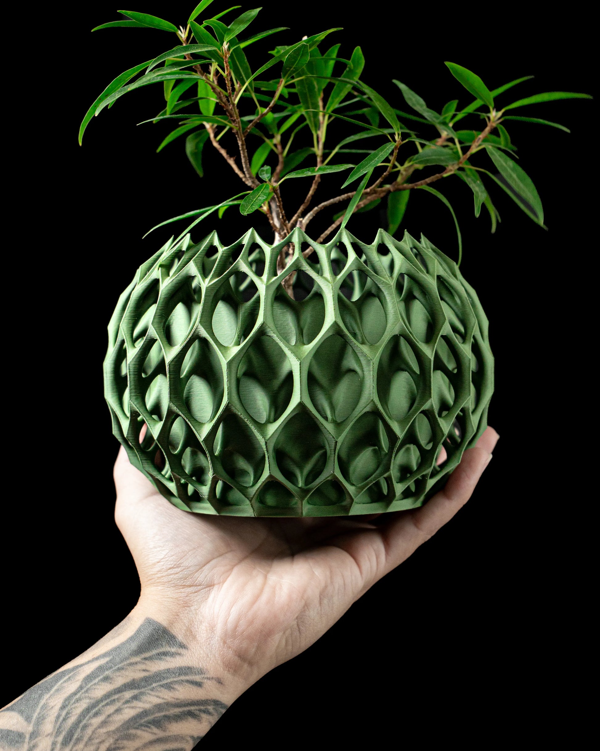 Cache-pot vert olive en plastique avec motif en nid d'abeille sculpté, forme sphérique, tenue dans une main tatouée, plante.