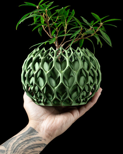 Cache-pot vert olive en plastique avec motif en nid d'abeille sculpté, forme sphérique, tenue dans une main tatouée, plante.
