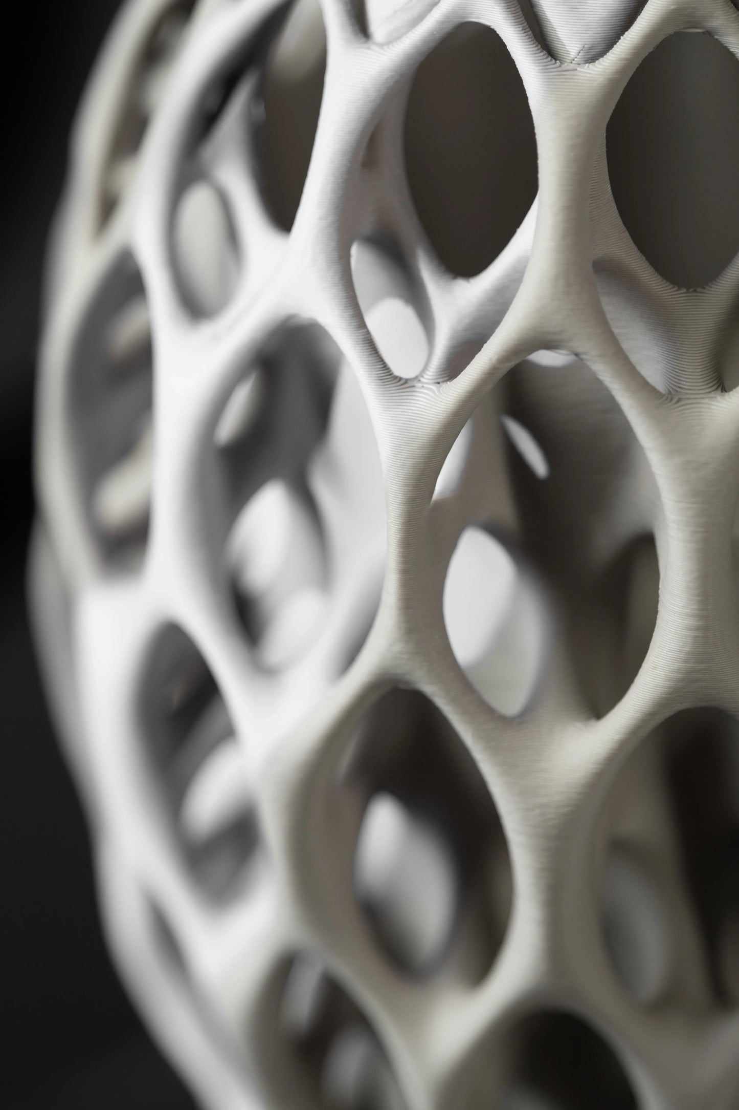 Vaso di fiori secchi Invader_02