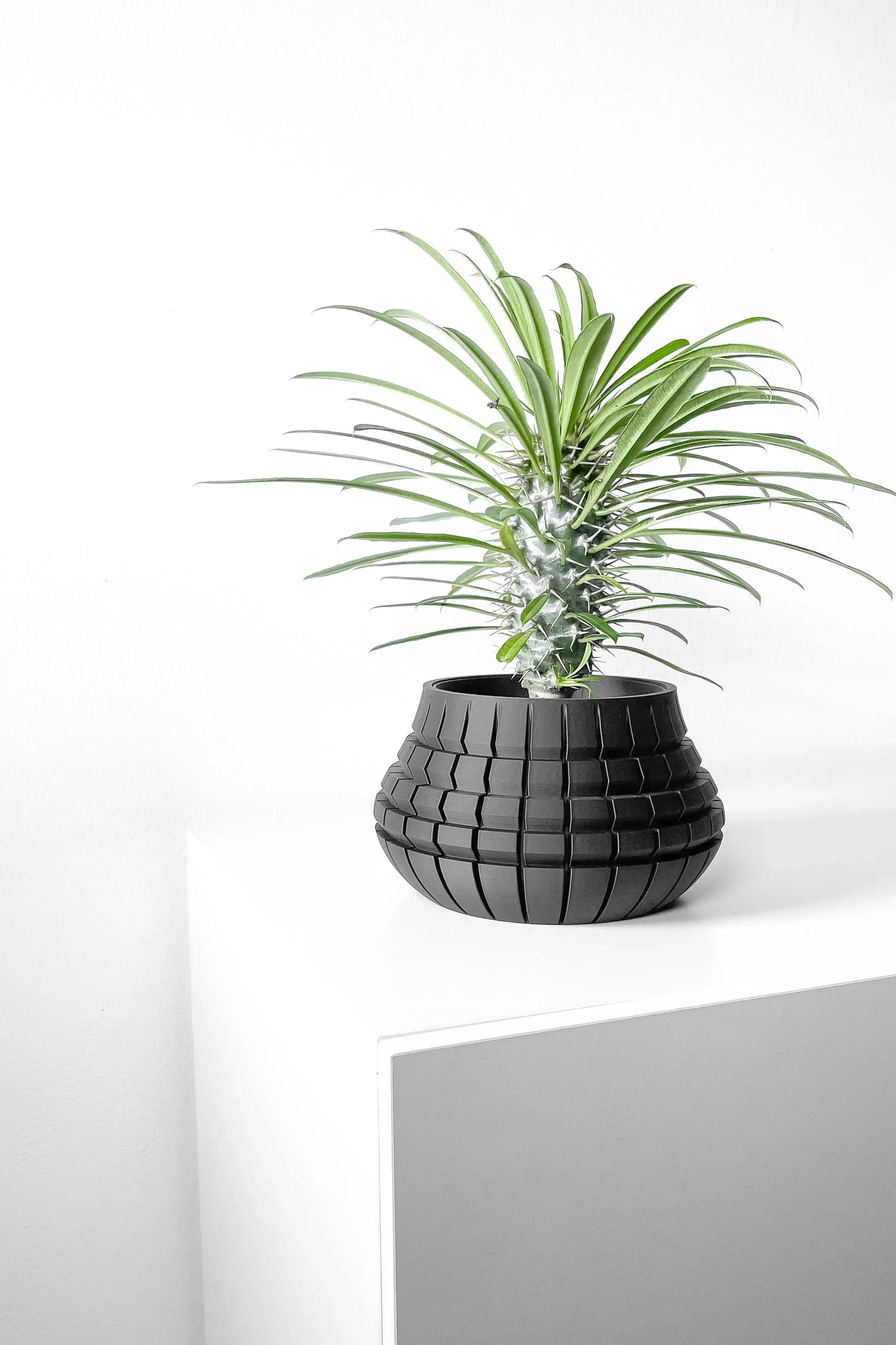 Pot décoratif noir mat avec surface quadrillée en relief, forme ronde évasée, contenant une plante verte à longues feuilles.