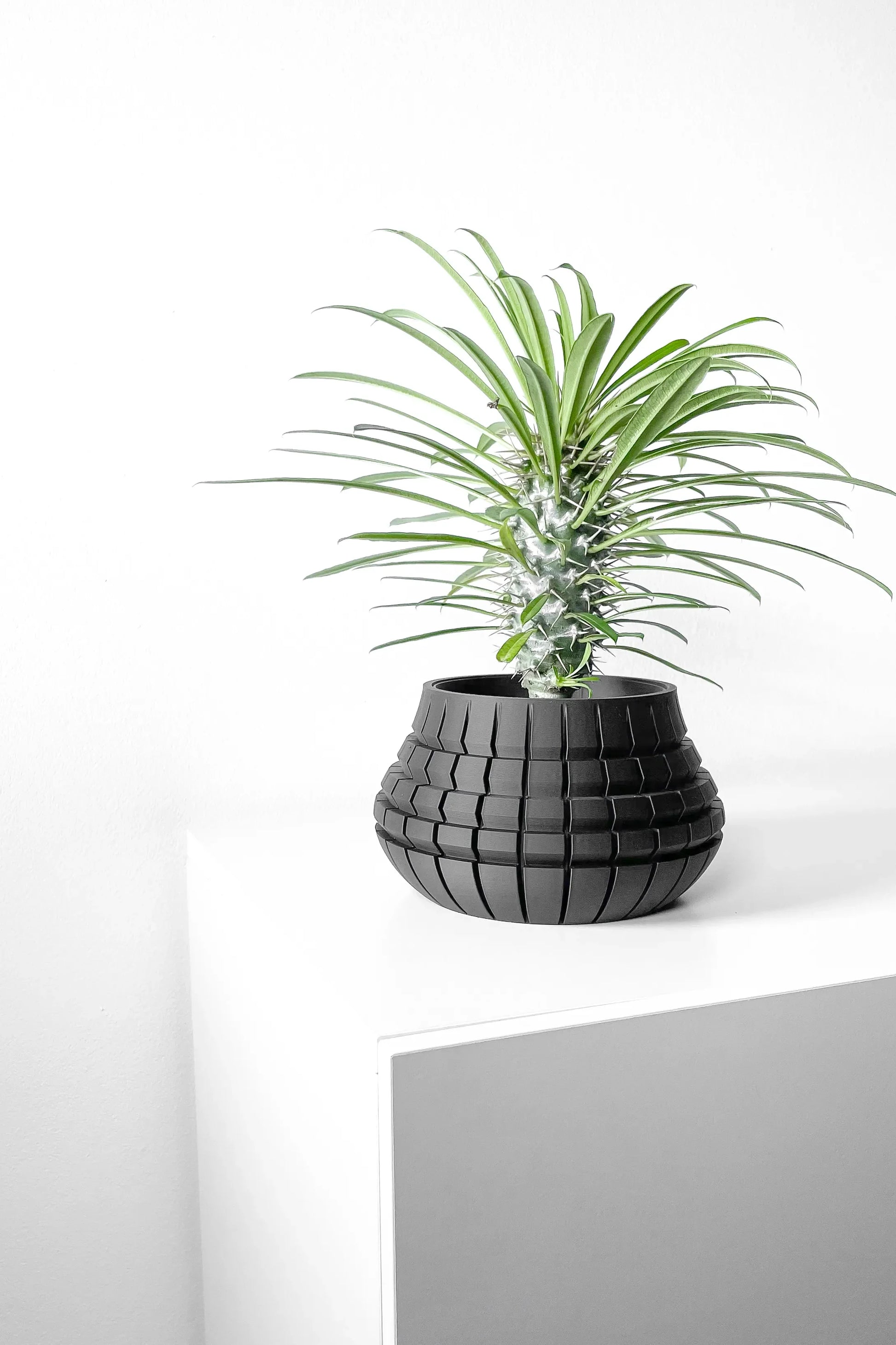 Pot décoratif noir mat avec surface quadrillée en relief, forme ronde évasée, contenant une plante verte à longues feuilles.