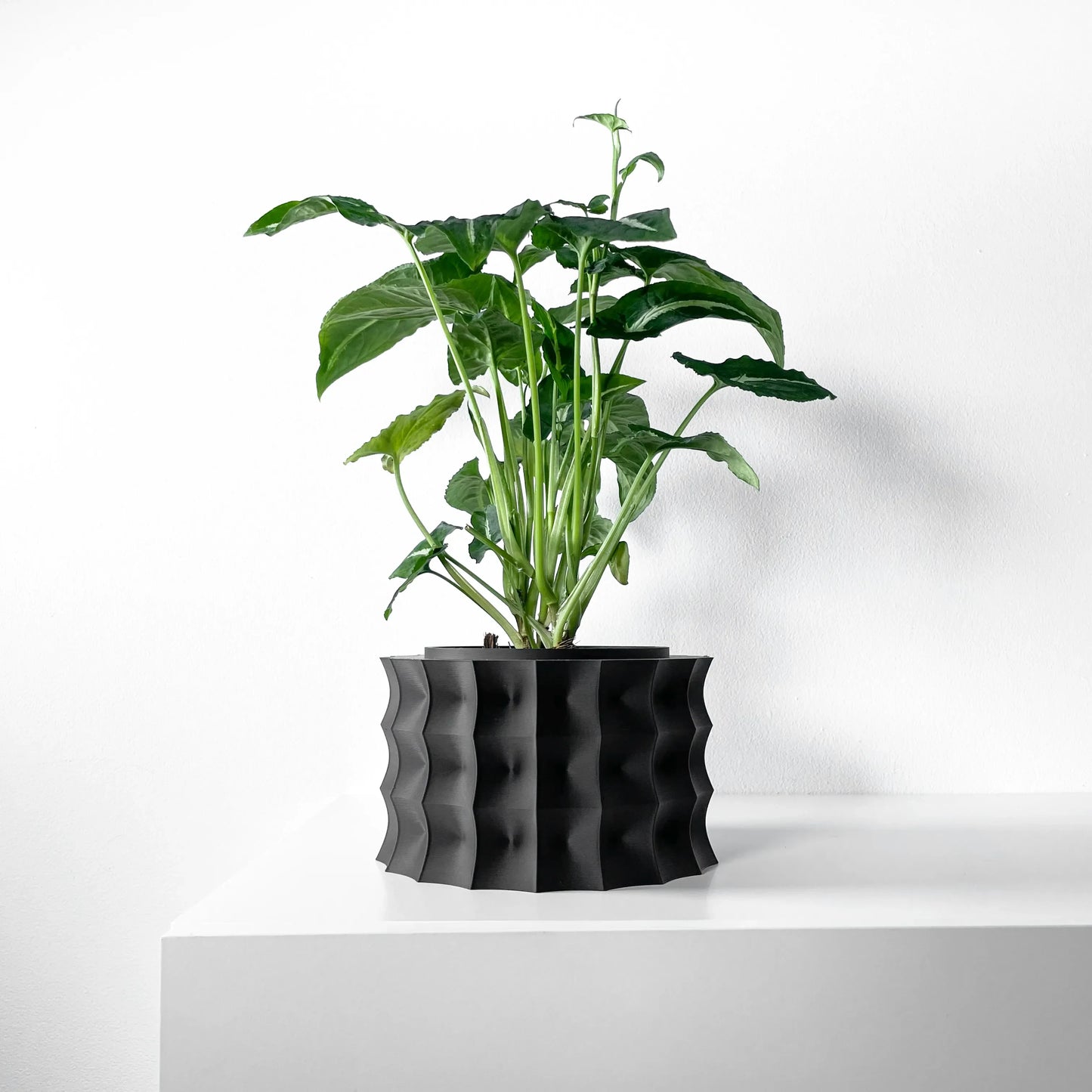 Pot décoratif anthracite en matériau durable avec design contemporain ondulé et plante verte luxuriante.