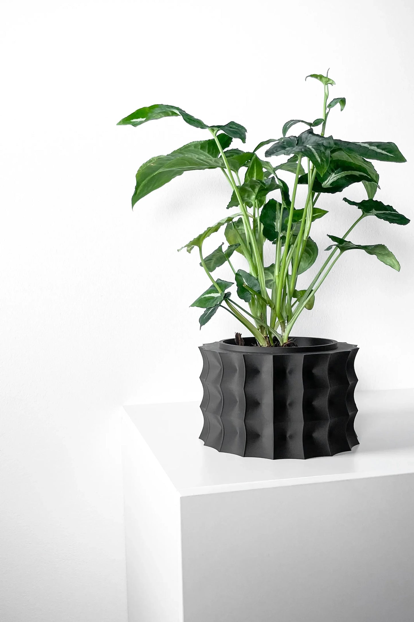 Pot décoratif noir mat avec texture ondulée et plante verte aux larges feuilles posée sur surface blanche.